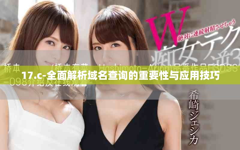 17.c-全面解析域名查询的重要性与应用技巧