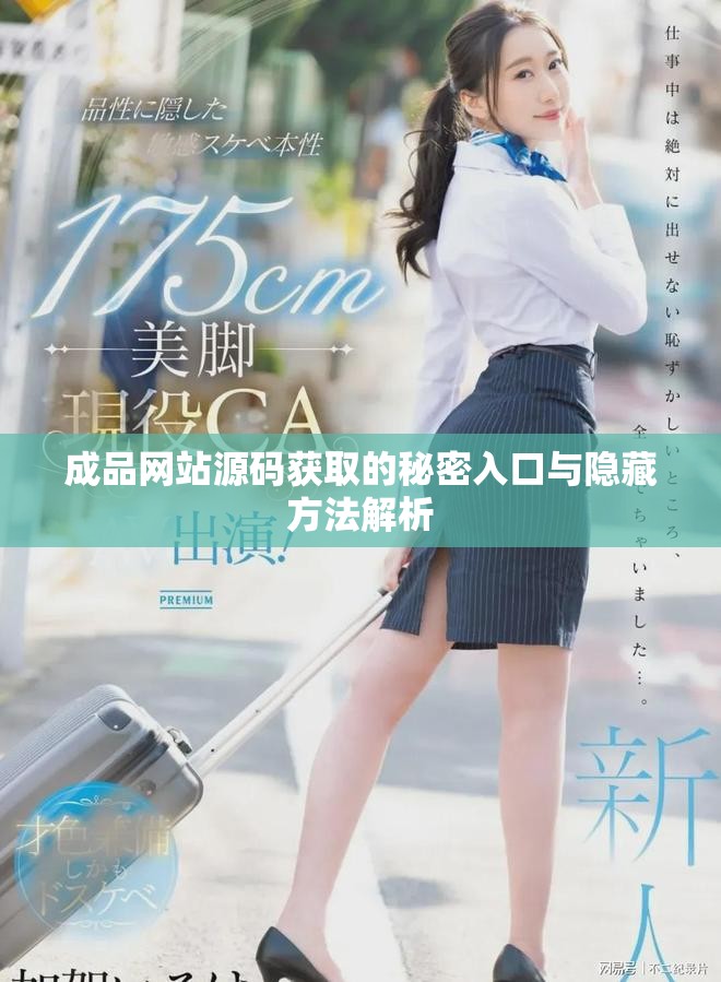 成品网站源码获取的秘密入口与隐藏方法解析