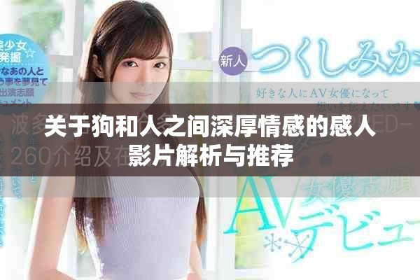 关于狗和人之间深厚情感的感人影片解析与推荐