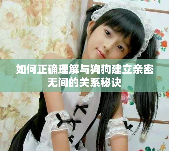 如何正确理解与狗狗建立亲密无间的关系秘诀
