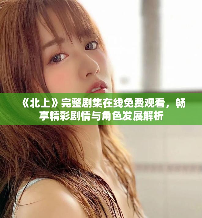 《北上》完整剧集在线免费观看，畅享精彩剧情与角色发展解析