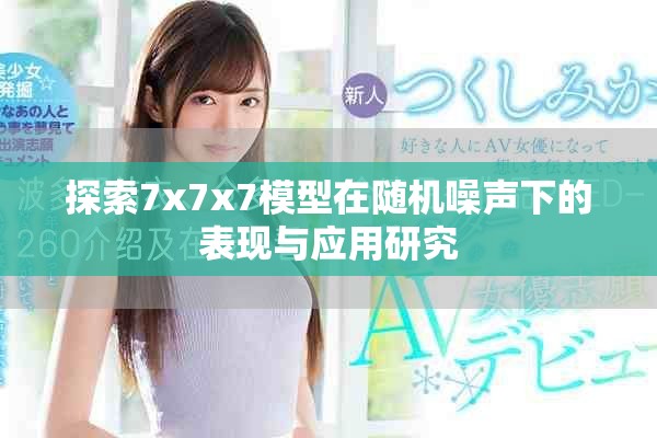 探索7x7x7模型在随机噪声下的表现与应用研究