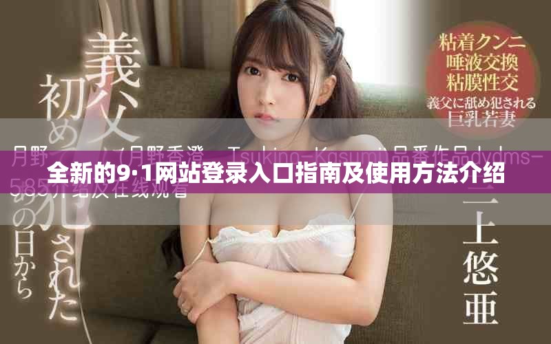 全新的9·1网站登录入口指南及使用方法介绍