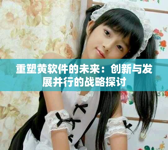 重塑黄软件的未来：创新与发展并行的战略探讨
