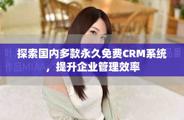 探索国内多款永久免费CRM系统，提升企业管理效率