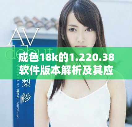 成色18k的1.220.38软件版本解析及其应用前景分析