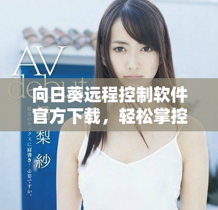 向日葵远程控制软件官方下载，轻松掌控远程设备的最佳助手