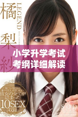 小学升学考试考纲详细解读及知识点全面指导
