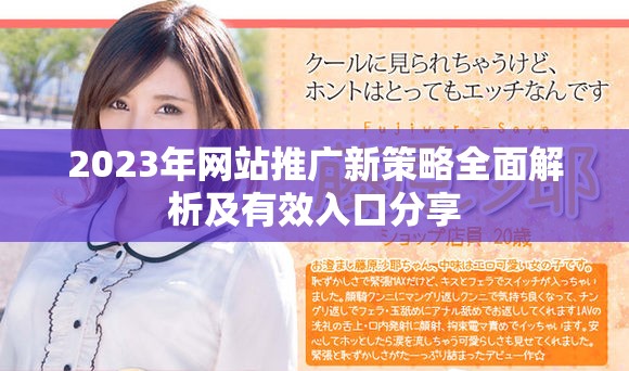 2023年网站推广新策略全面解析及有效入口分享