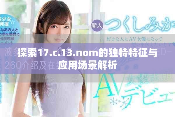 探索17.c.13.nom的独特特征与应用场景解析