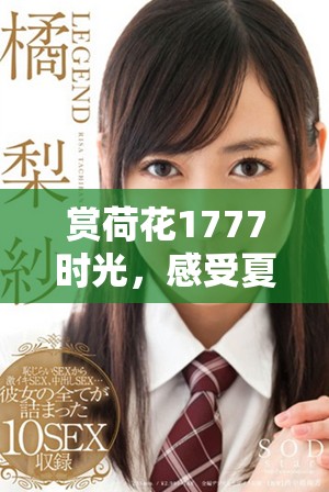 赏荷花1777时光，感受夏日清凉与自然魅力