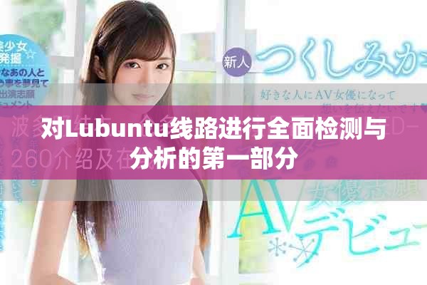对Lubuntu线路进行全面检测与分析的第一部分