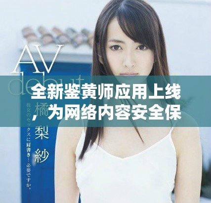 全新鉴黄师应用上线，为网络内容安全保驾护航