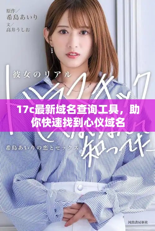 17c最新域名查询工具，助你快速找到心仪域名