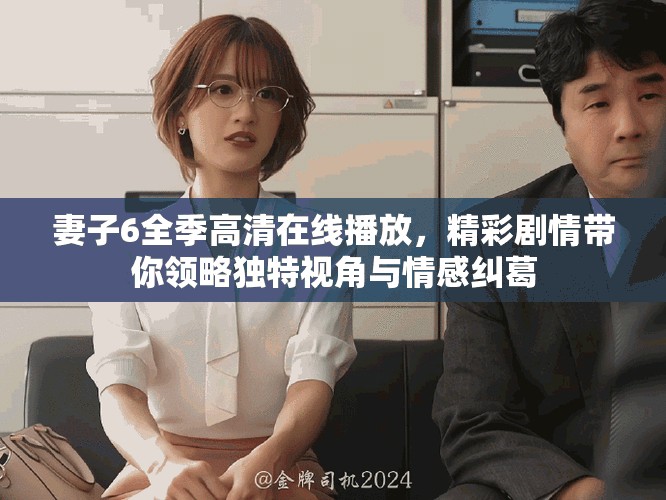 妻子6全季高清在线播放，精彩剧情带你领略独特视角与情感纠葛