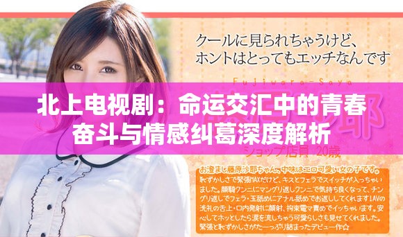 北上电视剧：命运交汇中的青春奋斗与情感纠葛深度解析
