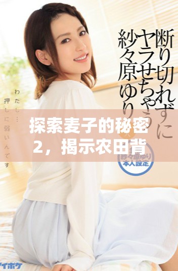 探索麦子的秘密2，揭示农田背后的神秘故事与农业秘诀