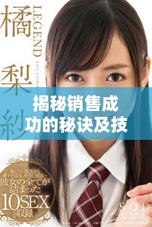 揭秘销售成功的秘诀及技巧全集分享助你快速提升业绩