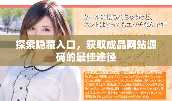 探索隐藏入口，获取成品网站源码的最佳途径