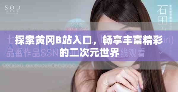 探索黄冈B站入口，畅享丰富精彩的二次元世界