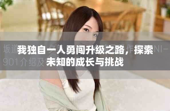 我独自一人勇闯升级之路，探索未知的成长与挑战