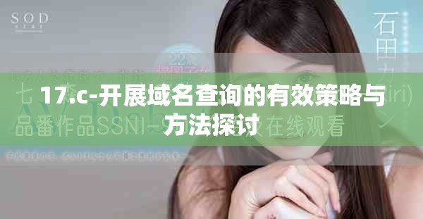17.c-开展域名查询的有效策略与方法探讨