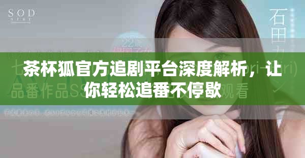 茶杯狐官方追剧平台深度解析，让你轻松追番不停歇