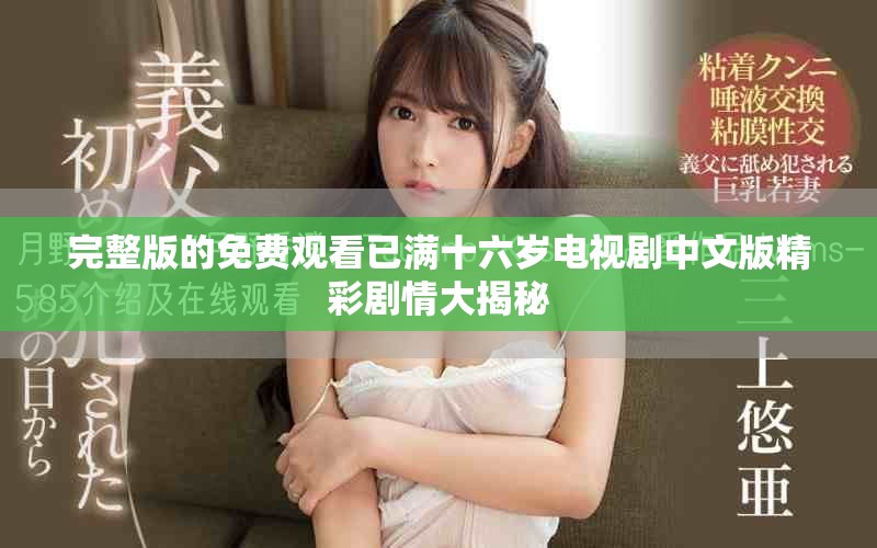 完整版的免费观看已满十六岁电视剧中文版精彩剧情大揭秘