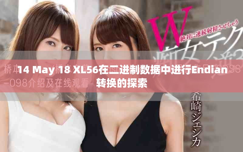 14 May 18 XL56在二进制数据中进行Endian转换的探索