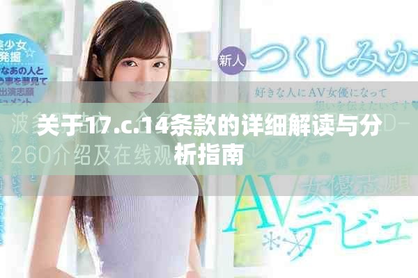 关于17.c.14条款的详细解读与分析指南