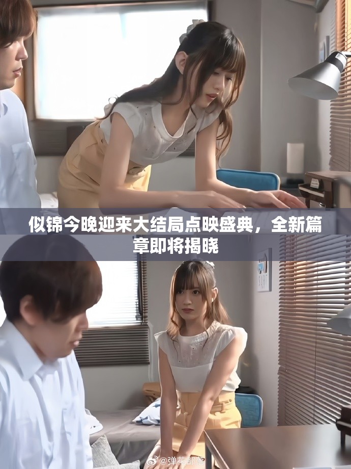 似锦今晚迎来大结局点映盛典，全新篇章即将揭晓