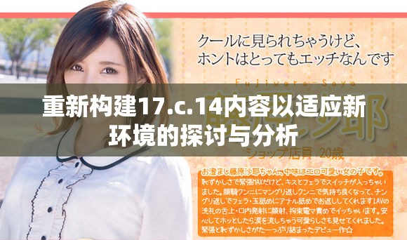 重新构建17.c.14内容以适应新环境的探讨与分析
