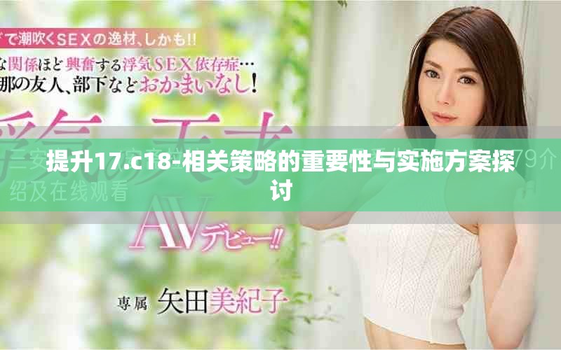 提升17.c18-相关策略的重要性与实施方案探讨