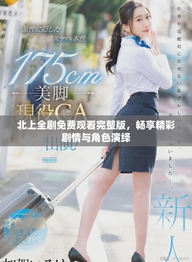 北上全剧免费观看完整版，畅享精彩剧情与角色演绎