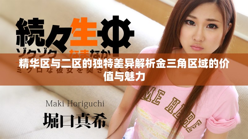 精华区与二区的独特差异解析金三角区域的价值与魅力