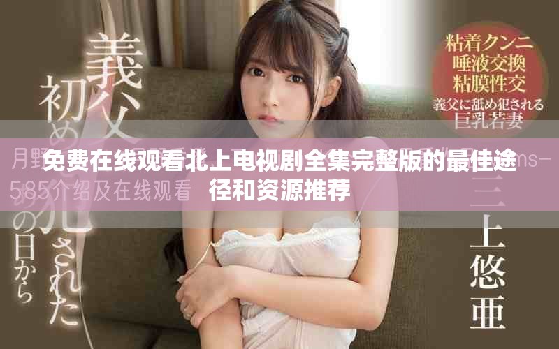 免费在线观看北上电视剧全集完整版的最佳途径和资源推荐
