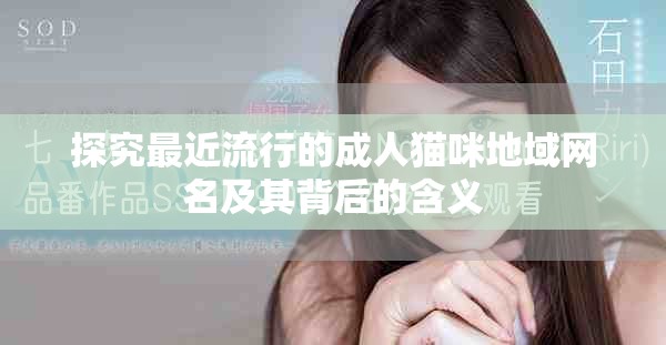 探究最近流行的成人猫咪地域网名及其背后的含义