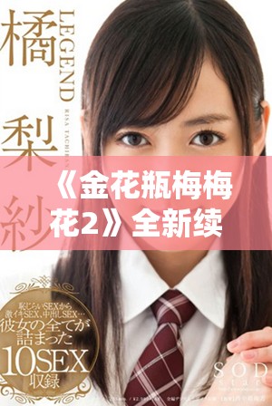 《金花瓶梅梅花2》全新续集揭秘精彩剧情及角色发展历程