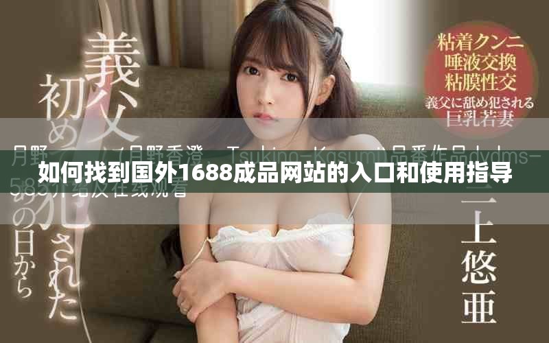 如何找到国外1688成品网站的入口和使用指导