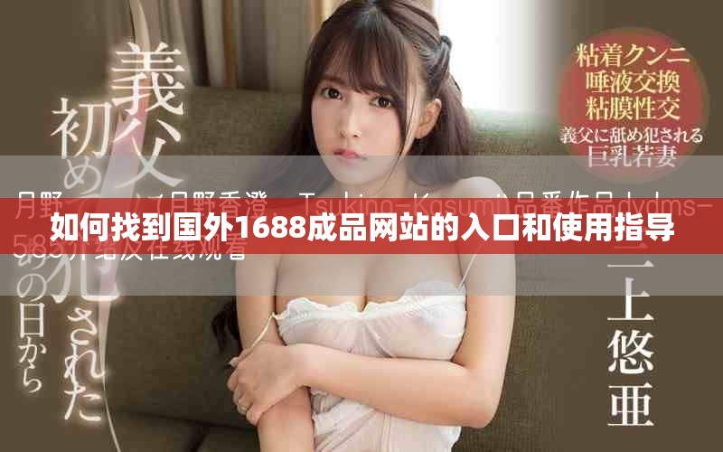 如何找到国外1688成品网站的入口和使用指导