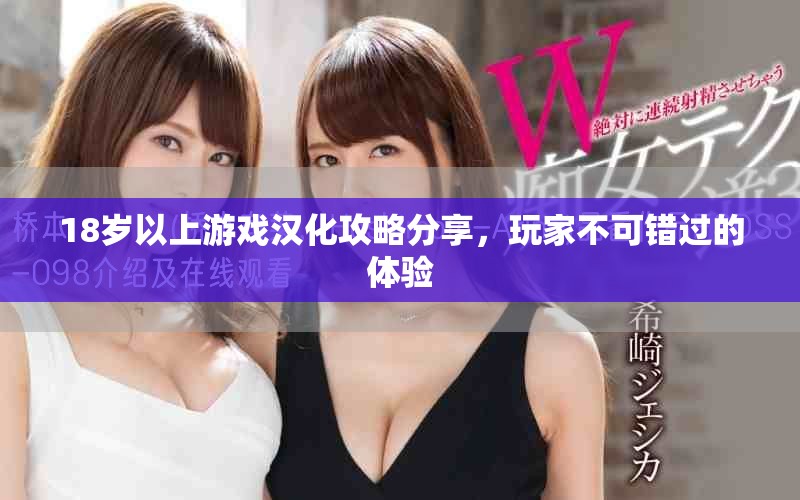 18岁以上游戏汉化攻略分享，玩家不可错过的体验