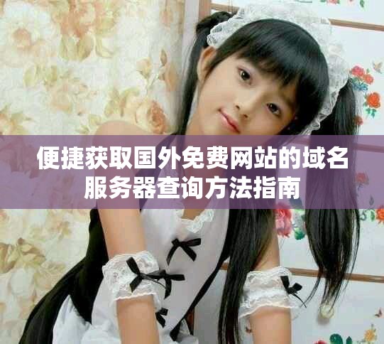 便捷获取国外免费网站的域名服务器查询方法指南