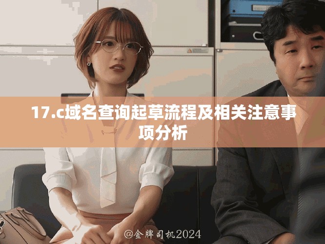 17.c域名查询起草流程及相关注意事项分析