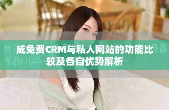 成免费CRM与私人网站的功能比较及各自优势解析