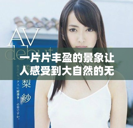 一片片丰盈的景象让人感受到大自然的无限魅力