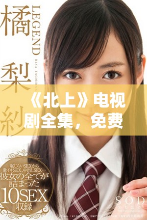 《北上》电视剧全集，免费观看享受精彩剧情与感人故事