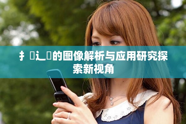 扌喿辶畐的图像解析与应用研究探索新视角