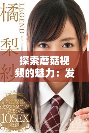 探索蘑菇视频的魅力：发现创意与乐趣的新视角