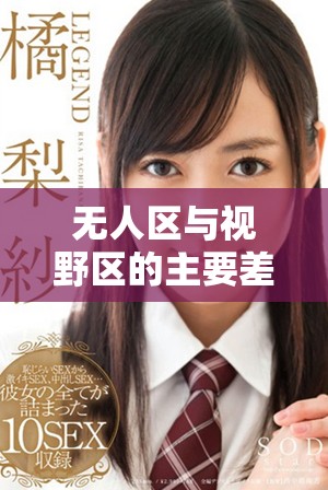 无人区与视野区的主要差异及各自特点解析