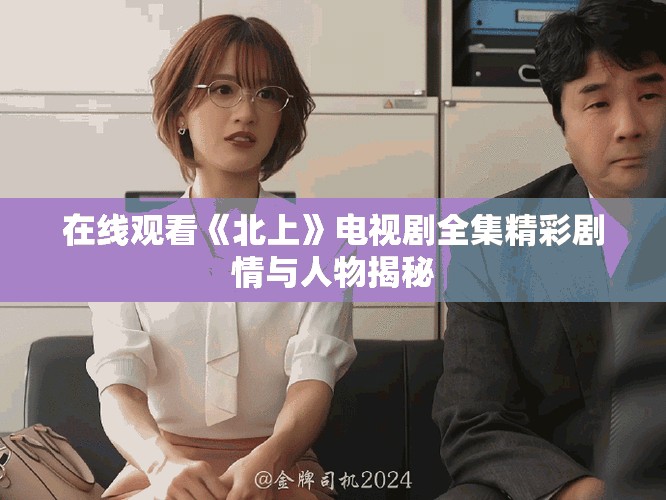 在线观看《北上》电视剧全集精彩剧情与人物揭秘